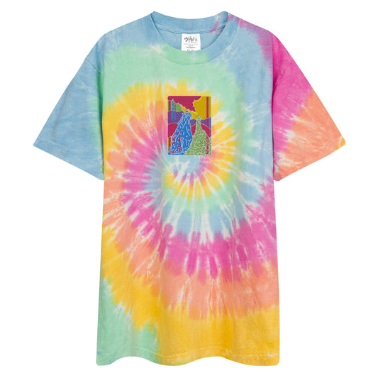 Shmack Trip Embroidered tie-dye T-Shirt