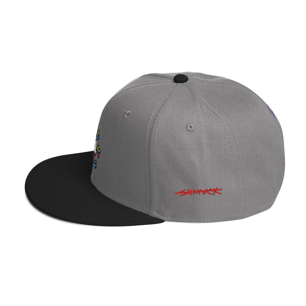 Cloudy Snapback