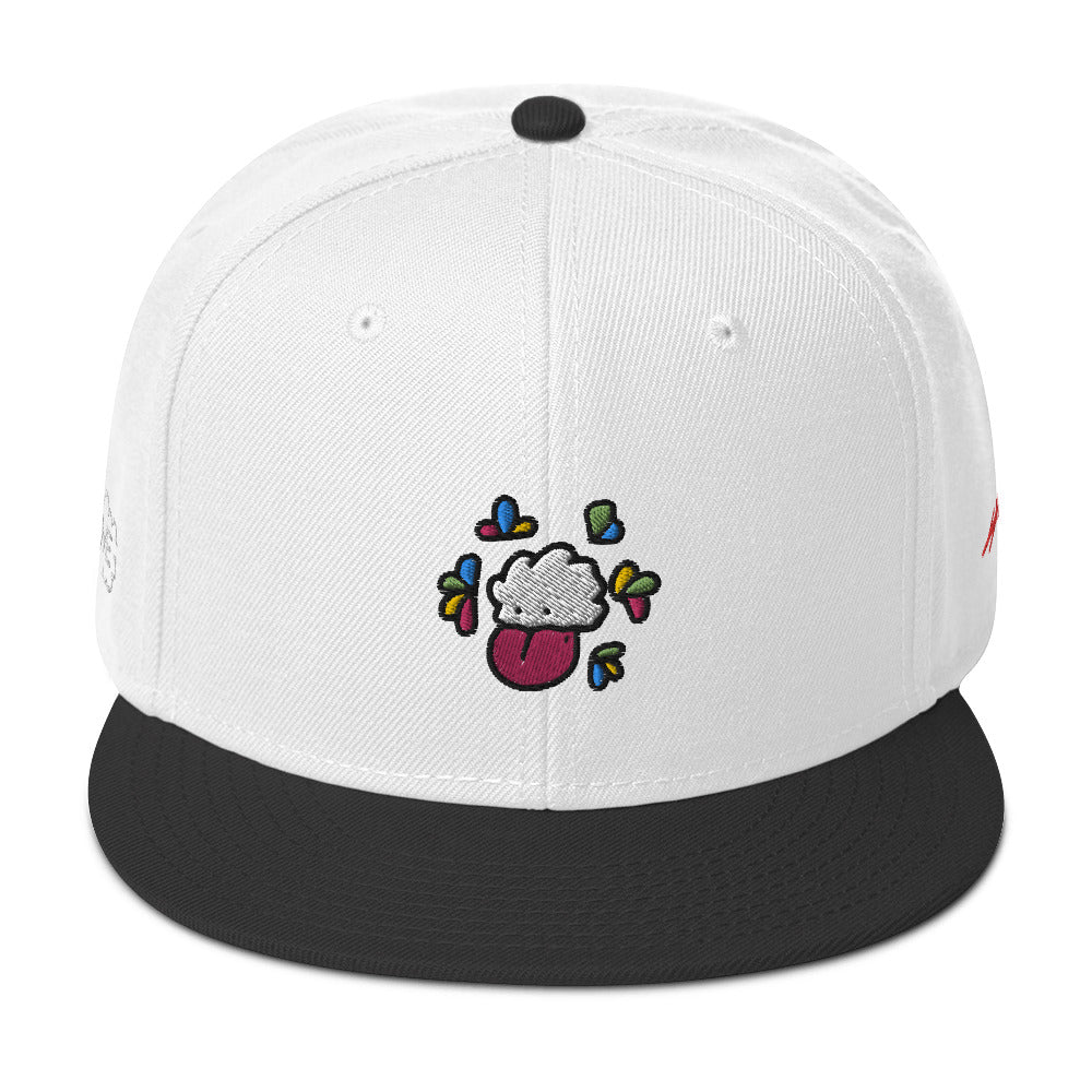 Cloudy Snapback